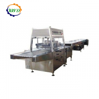 Automatic professional Chocolate Coating Machine